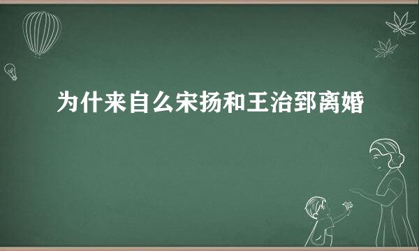 为什来自么宋扬和王治郅离婚