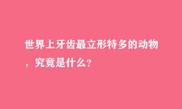 世界上牙齿最立形特多的动物，究竟是什么？