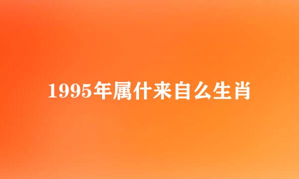 1995年属什来自么生肖