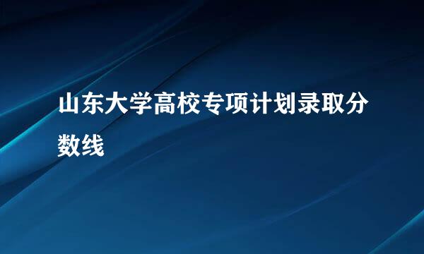 山东大学高校专项计划录取分数线