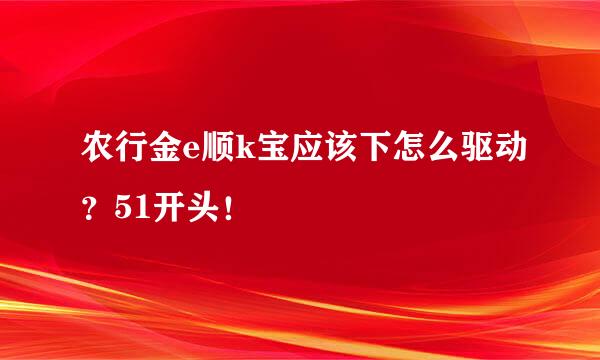 农行金e顺k宝应该下怎么驱动？51开头！