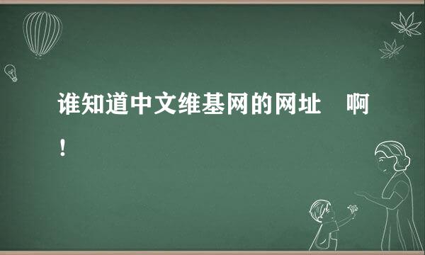 谁知道中文维基网的网址 啊！