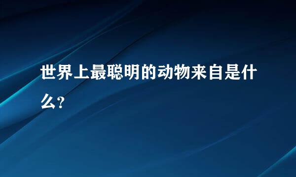 世界上最聪明的动物来自是什么？