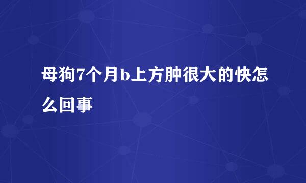 母狗7个月b上方肿很大的快怎么回事