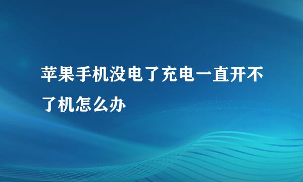 苹果手机没电了充电一直开不了机怎么办