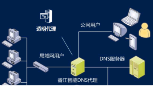 首选DNS一般是多少？