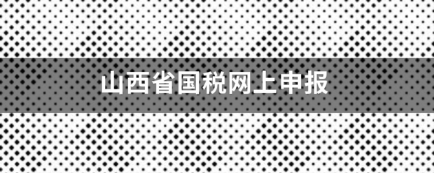 山西省国税网上申报