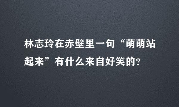 林志玲在赤壁里一句“萌萌站起来”有什么来自好笑的？