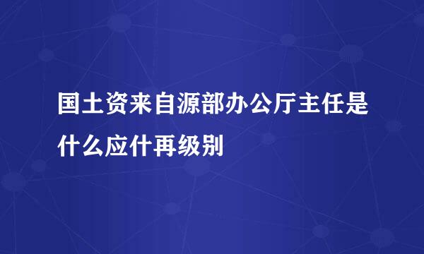 国土资来自源部办公厅主任是什么应什再级别