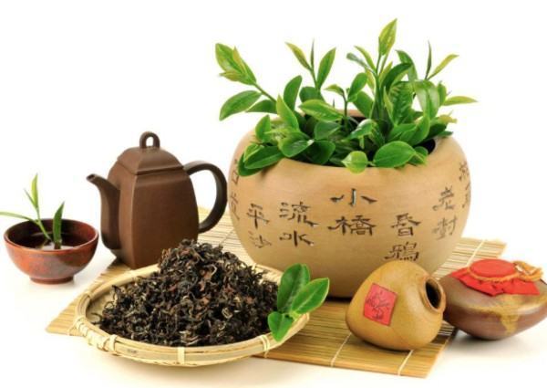 青茶是什么茶啊？