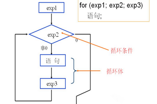 C语言中测听for循环怎么理解？提状切吗