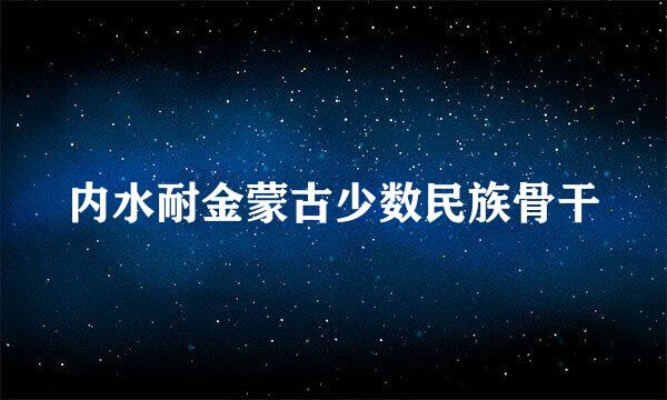 内水耐金蒙古少数民族骨干