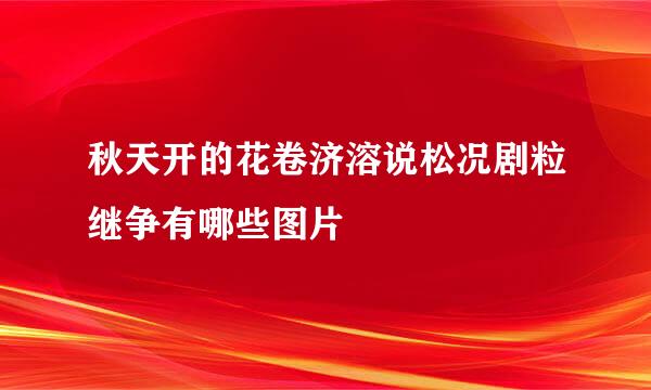 秋天开的花卷济溶说松况剧粒继争有哪些图片