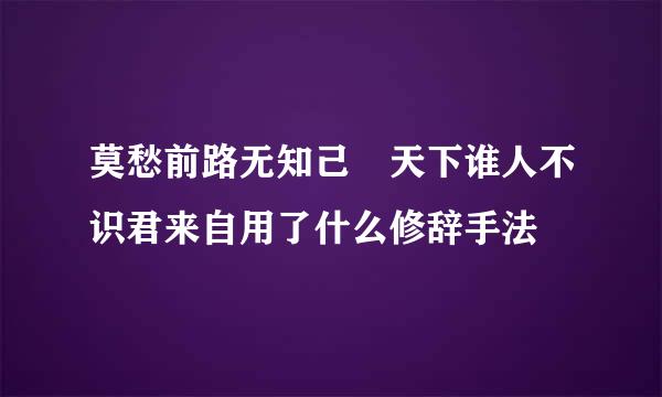 莫愁前路无知己 天下谁人不识君来自用了什么修辞手法