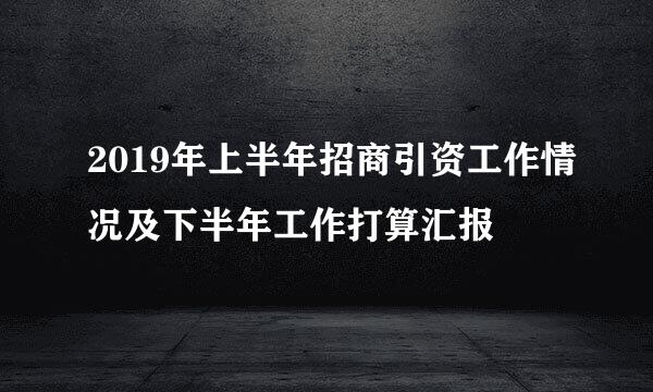 2019年上半年招商引资工作情况及下半年工作打算汇报