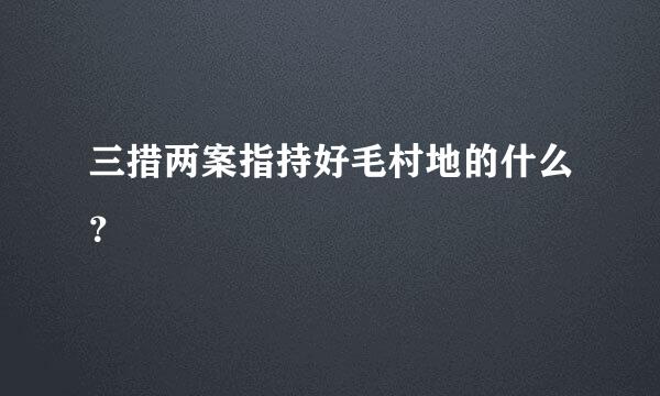 三措两案指持好毛村地的什么？