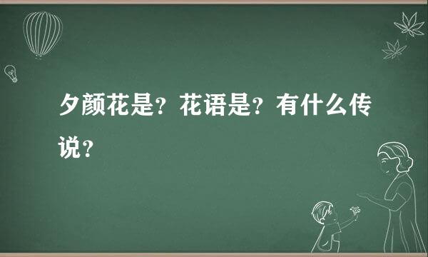 夕颜花是？花语是？有什么传说？