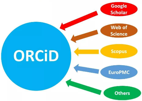 o告纸还这燃适rcid是什么?