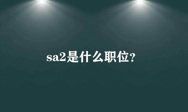 sa2是什么职位？