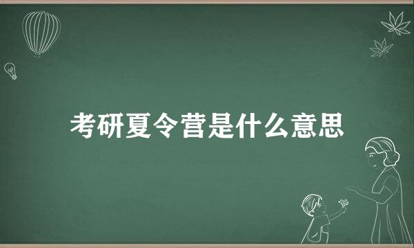 考研夏令营是什么意思