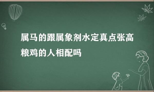 属马的跟属象剂水定真点张高粮鸡的人相配吗