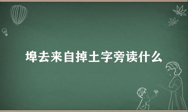 埠去来自掉土字旁读什么