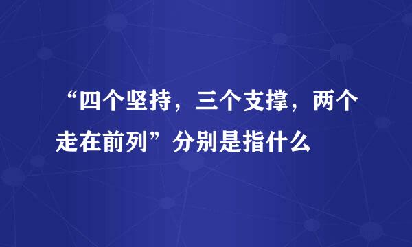 “四个坚持，三个支撑，两个走在前列”分别是指什么