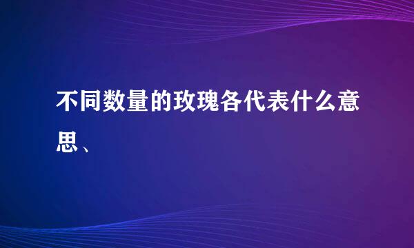 不同数量的玫瑰各代表什么意思、