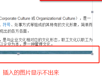 word插入图片显示不全