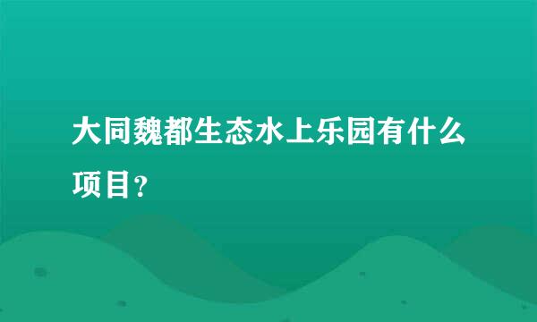 大同魏都生态水上乐园有什么项目？