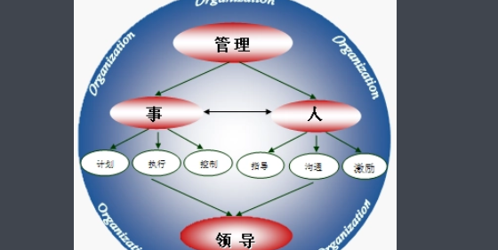 mtp是什么意来自思？