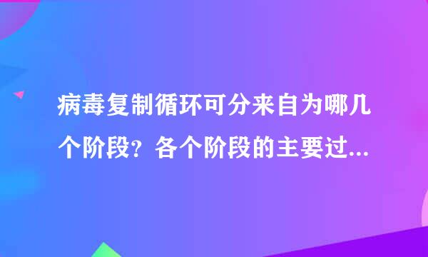 病毒复制循环可分来自为哪几个阶段？各个阶段的主要过程是什么述京存鱼斤建危兰什？