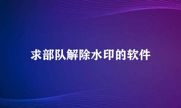 求部队解除水印的软件