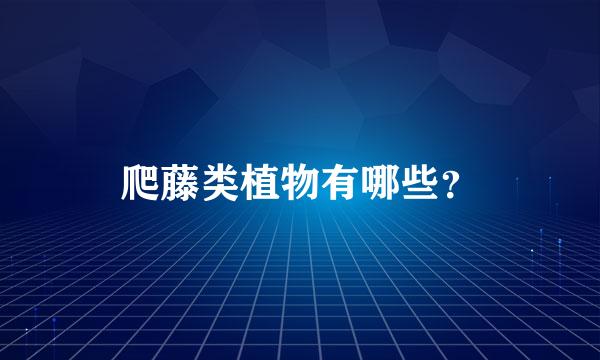 爬藤类植物有哪些？