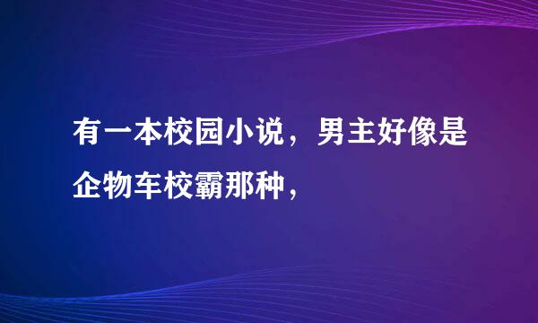 有一本校园小说，男主好像是企物车校霸那种，