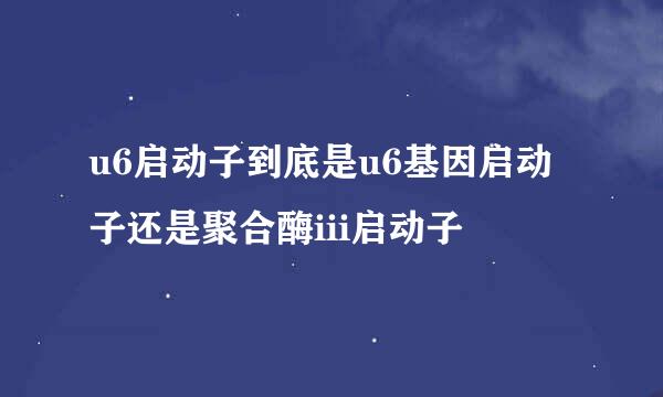 u6启动子到底是u6基因启动子还是聚合酶iii启动子