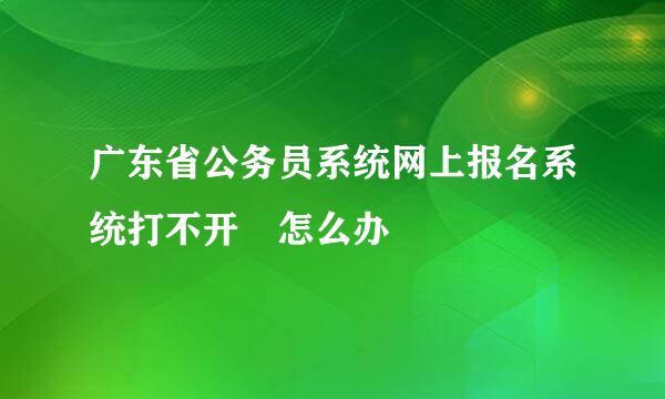 广东省公务员系统网上报名系统打不开 怎么办