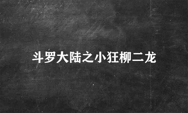 斗罗大陆之小狂柳二龙