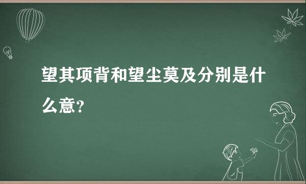 望其项背和望尘莫及分别是什么意？