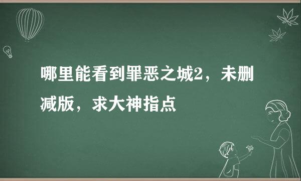 哪里能看到罪恶之城2，未删减版，求大神指点