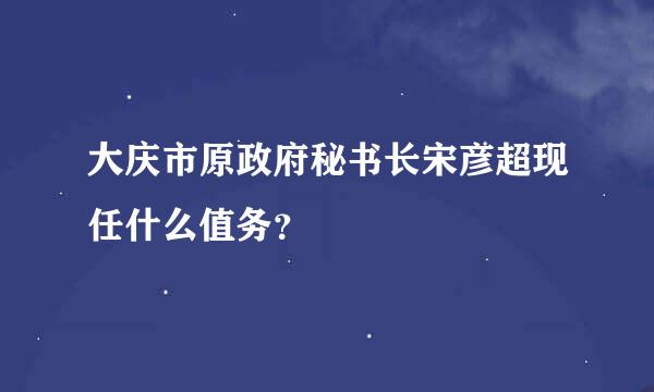 大庆市原政府秘书长宋彦超现任什么值务？