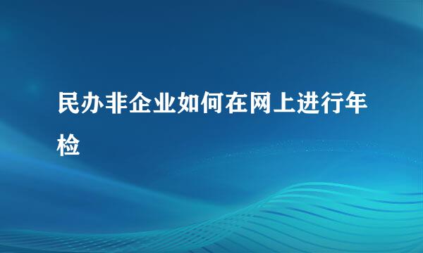 民办非企业如何在网上进行年检