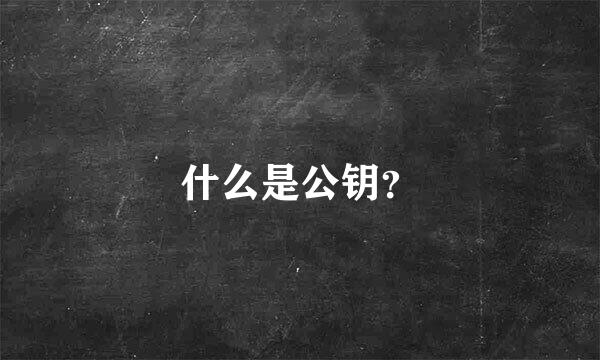 什么是公钥？