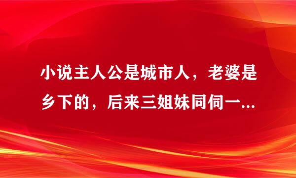 小说主人公是城市人，老婆是乡下的，后来三姐妹同伺一夫的小说