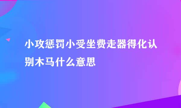 小攻惩罚小受坐费走器得化认别木马什么意思