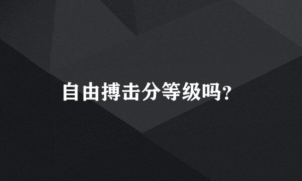 自由搏击分等级吗？