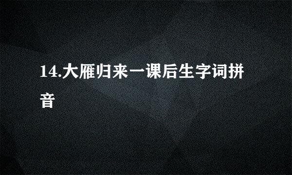 14.大雁归来一课后生字词拼音