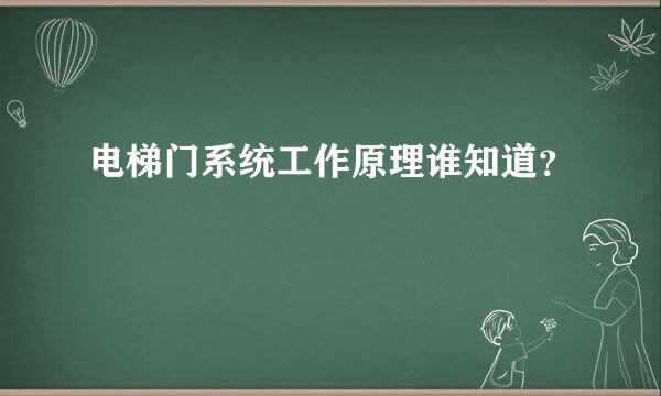 电梯门系统工作原理谁知道？