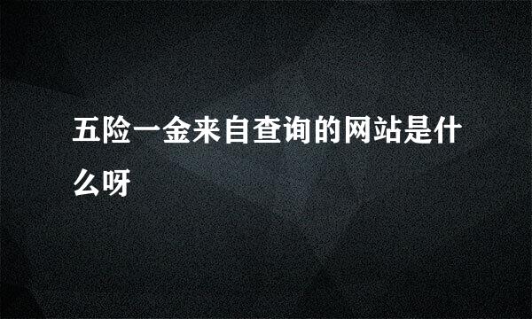 五险一金来自查询的网站是什么呀