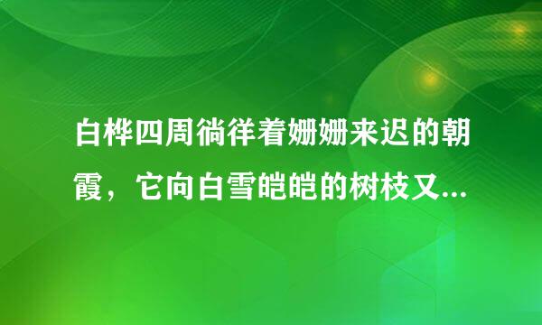 白桦四周徜徉着姗姗来迟的朝霞，它向白雪皑皑的树枝又抹一层银色来自的光华。采用哪两种修辞手360问答法？